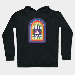 love is love rainbow Hoodie